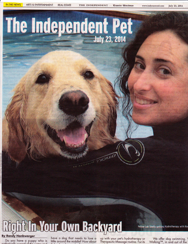 S.S. Aqua Dog in The Independent